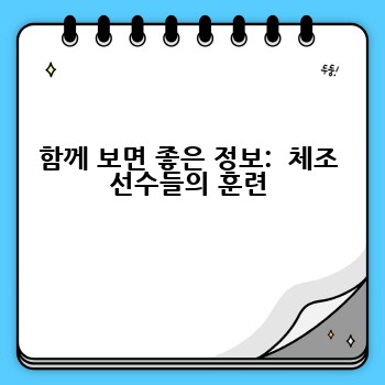 함께 보면 좋은 정보:  체조 선수들의 훈련