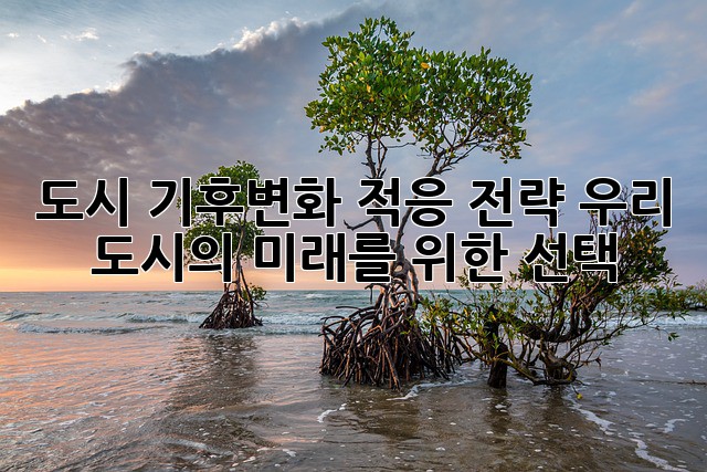 도시 기후변화 적응 전략: 우리 도시의 미래를 위한 선택