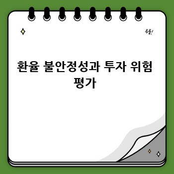 환율 불안정성과 투자 위험 평가