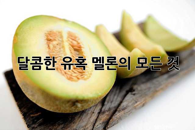 달콤한 유혹, 멜론의 모든 것!