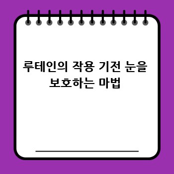 루테인의 작용 기전 눈을 보호하는 마법