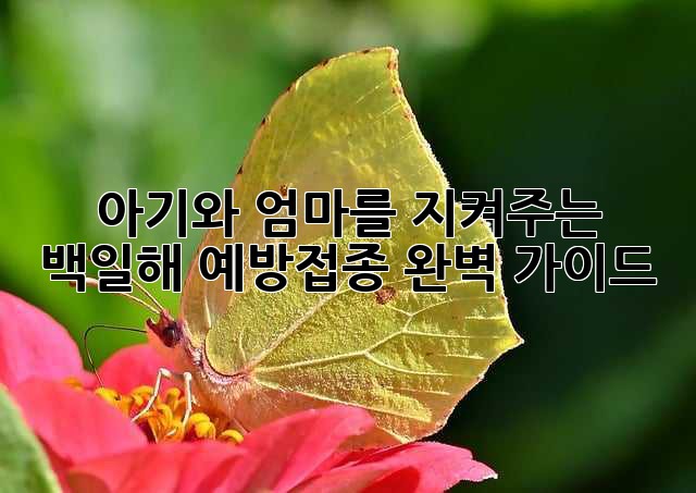 아기와 엄마를 지켜주는 백일해 예방접종 완벽 가이드
