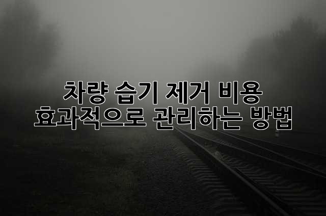 차량 습기 제거, 비용 효과적으로 관리하는 방법