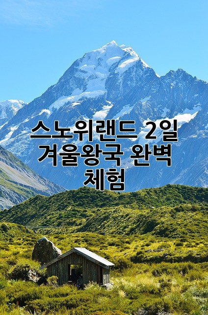 스노위랜드 2일: 겨울왕국 완벽 체험