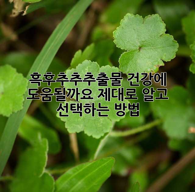흑후추추추출물, 건강에 도움될까요? 제대로 알고 선택하는 방법