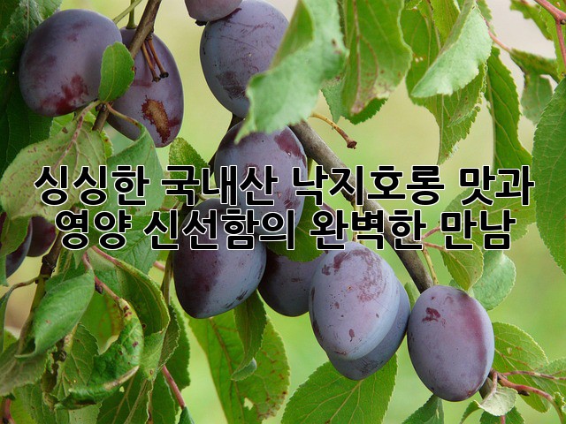 싱싱한 국내산 낙지호롱: 맛과 영양, 신선함의 완벽한 만남