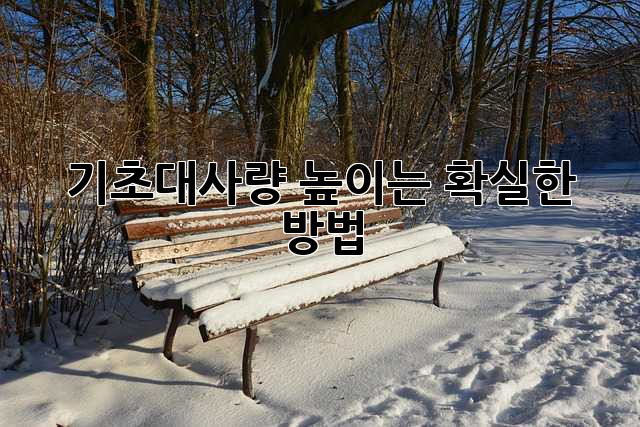 기초대사량 높이는 확실한 방법!