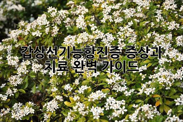 갑상선기능항진증 증상과 치료, 완벽 가이드