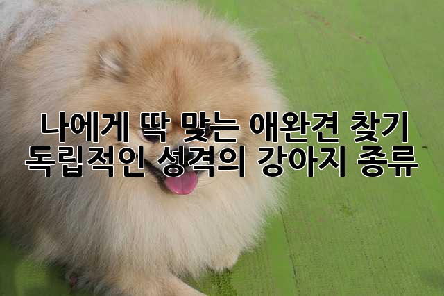 나에게 딱 맞는 애완견 찾기: 독립적인 성격의 강아지 종류
