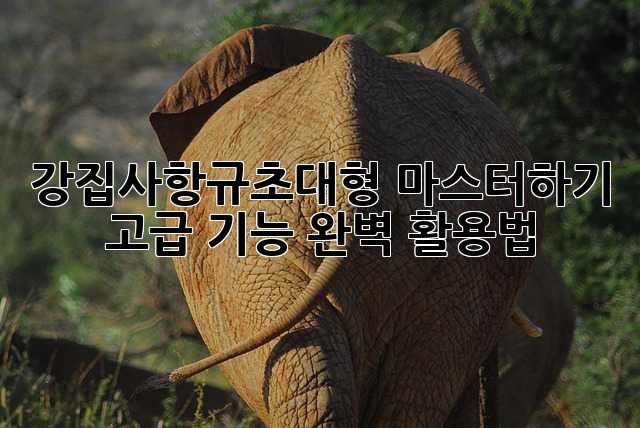강집사항규초대형 마스터하기: 고급 기능 완벽 활용법