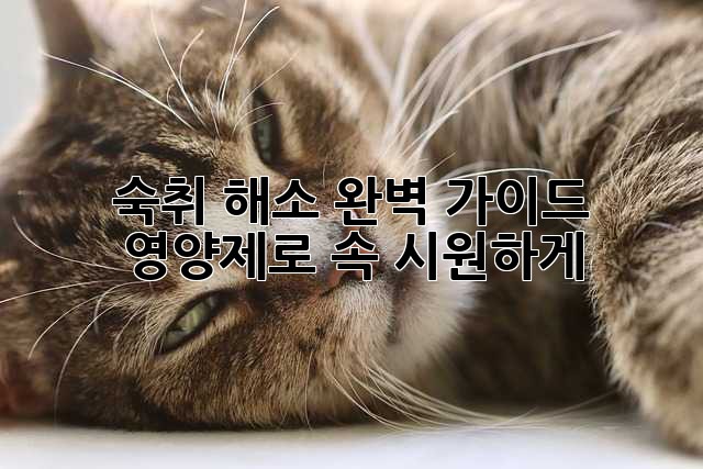 숙취 해소 완벽 가이드: 영양제로 속 시원하게!