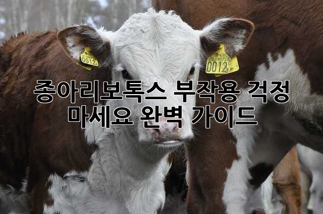 종아리보톡스 부작용? 걱정 마세요! 완벽 가이드