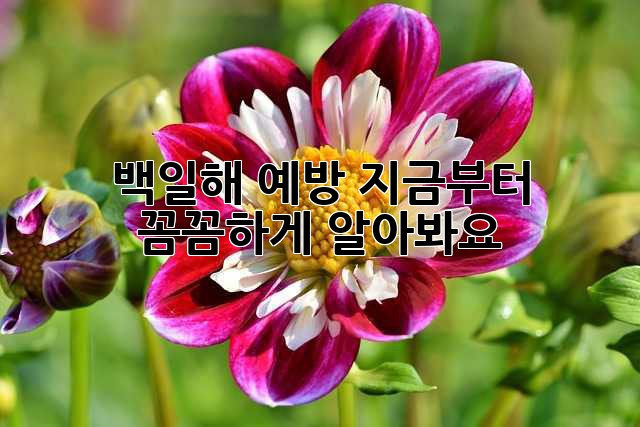백일해 예방, 지금부터 꼼꼼하게 알아봐요!