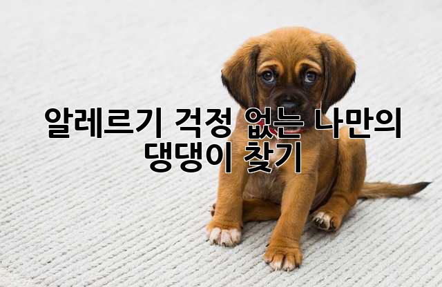 알레르기 걱정 없는 나만의 댕댕이 찾기🐶