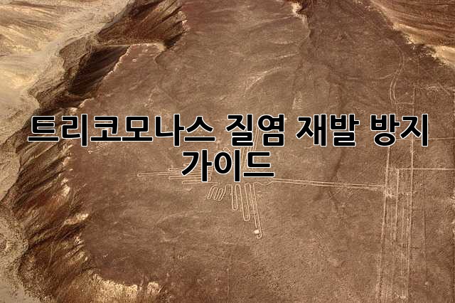 트리코모나스 질염 재발 방지 가이드