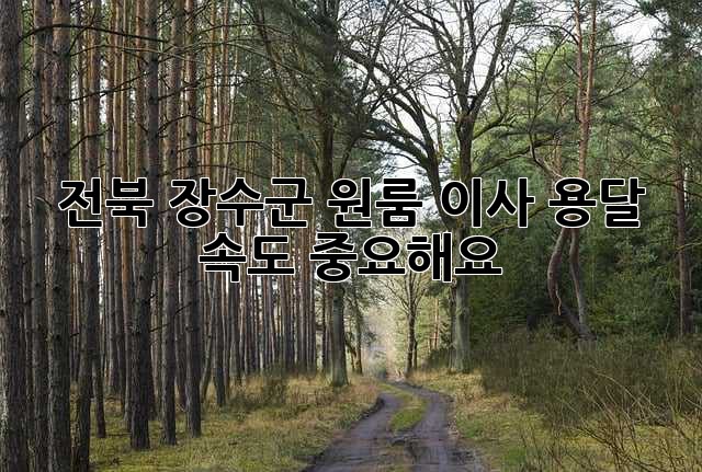 전북 장수군 원룸 이사 용달, 속도 중요해요!