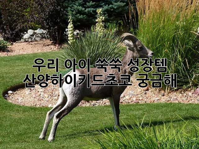 우리 아이 쑥쑥 성장템🌱 산양하이키드초코🍫 궁금해?