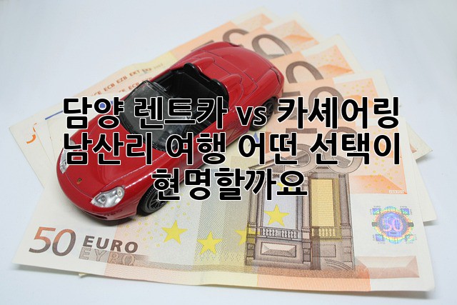 담양 렌트카 vs 카셰어링: 남산리 여행, 어떤 선택이 현명할까요?