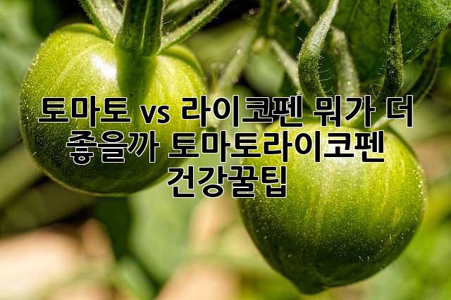토마토🍅 vs 라이코펜💊 뭐가 더 좋을까? #토마토라이코펜 #건강꿀팁