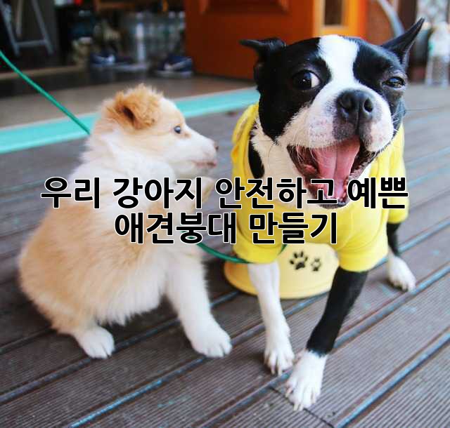 우리 강아지, 안전하고 예쁜 애견붕대 만들기🐶