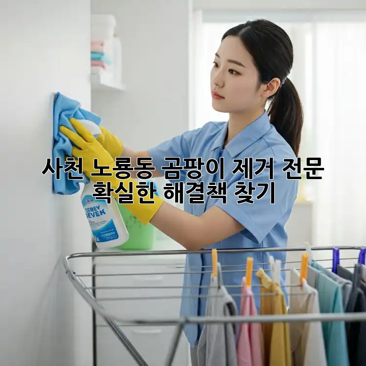 사천 노룡동 곰팡이 제거 전문: 확실한 해결책 찾기